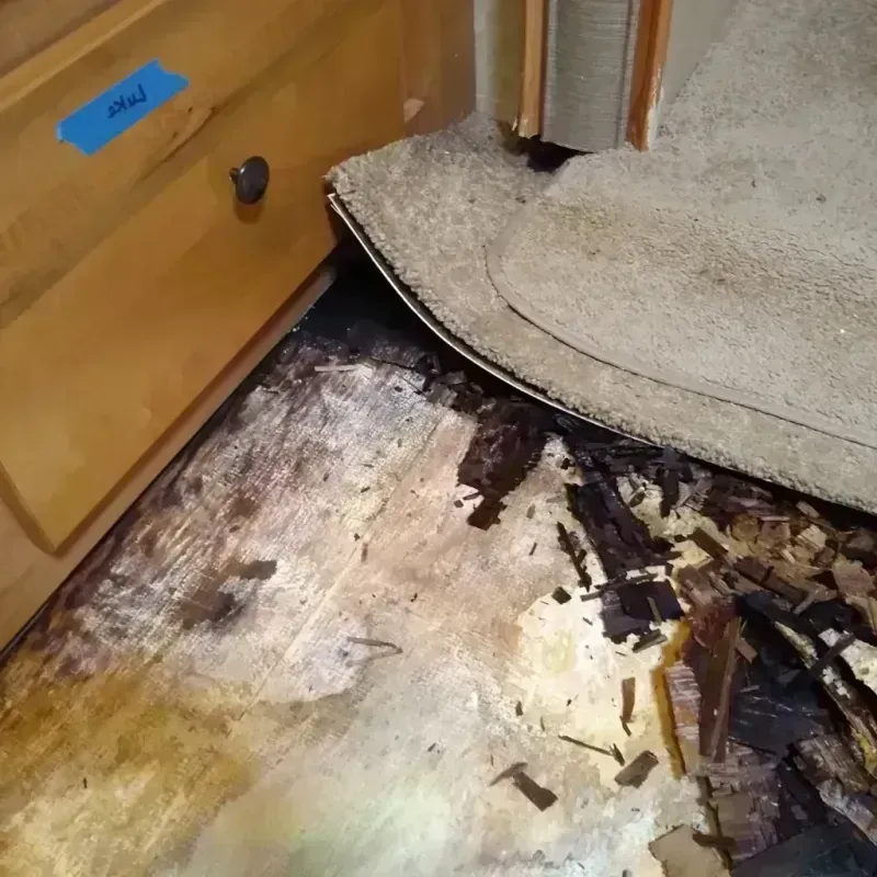 Best Wood Floor Water Damage Service in Hibbing, MN